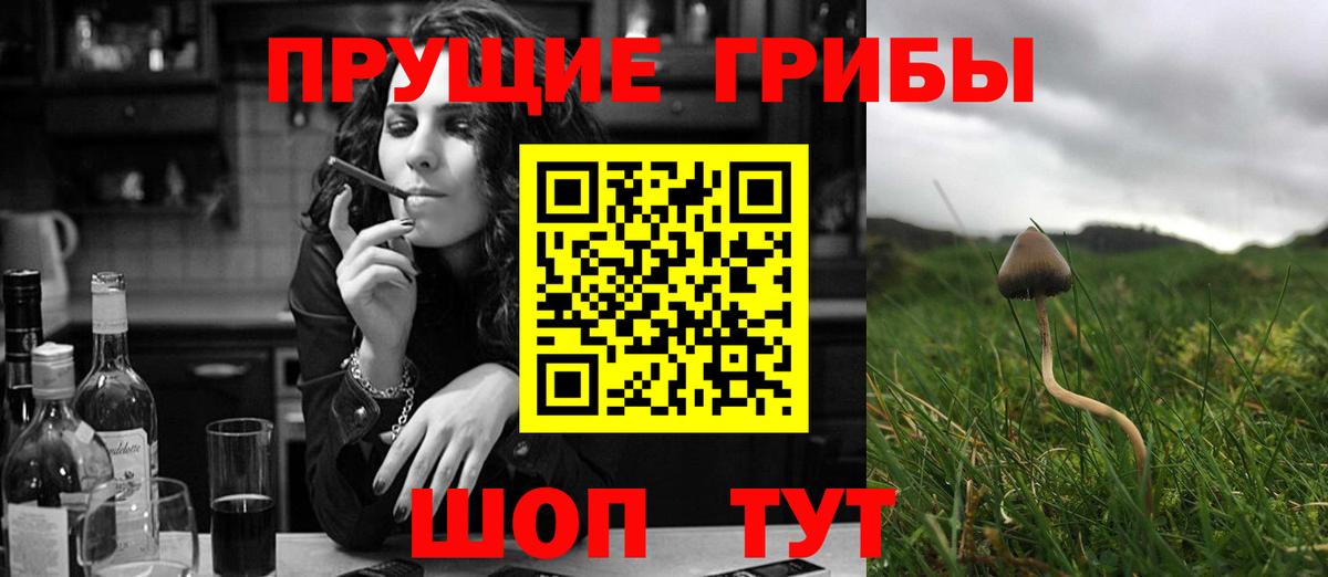 Галлюциногенные грибы Psilocybine cubensis  купить   Шадринск  Псилоцибиновые грибы GOLDEN TEACHER  Вход с VPN 